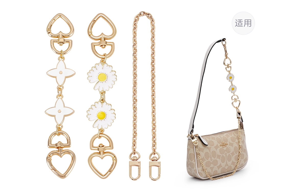 COACHnolita19diy
