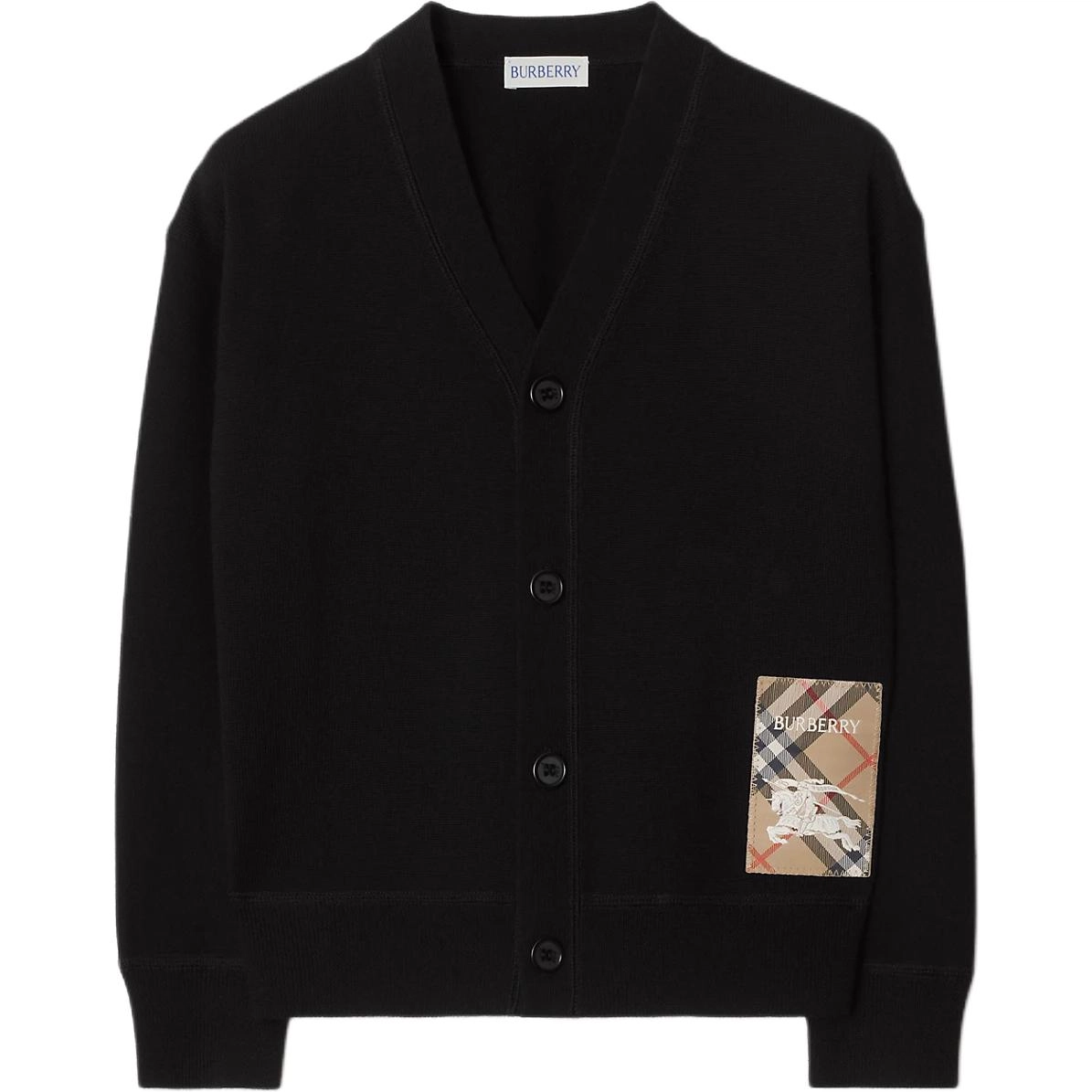 BurberryFW24 LogoV
