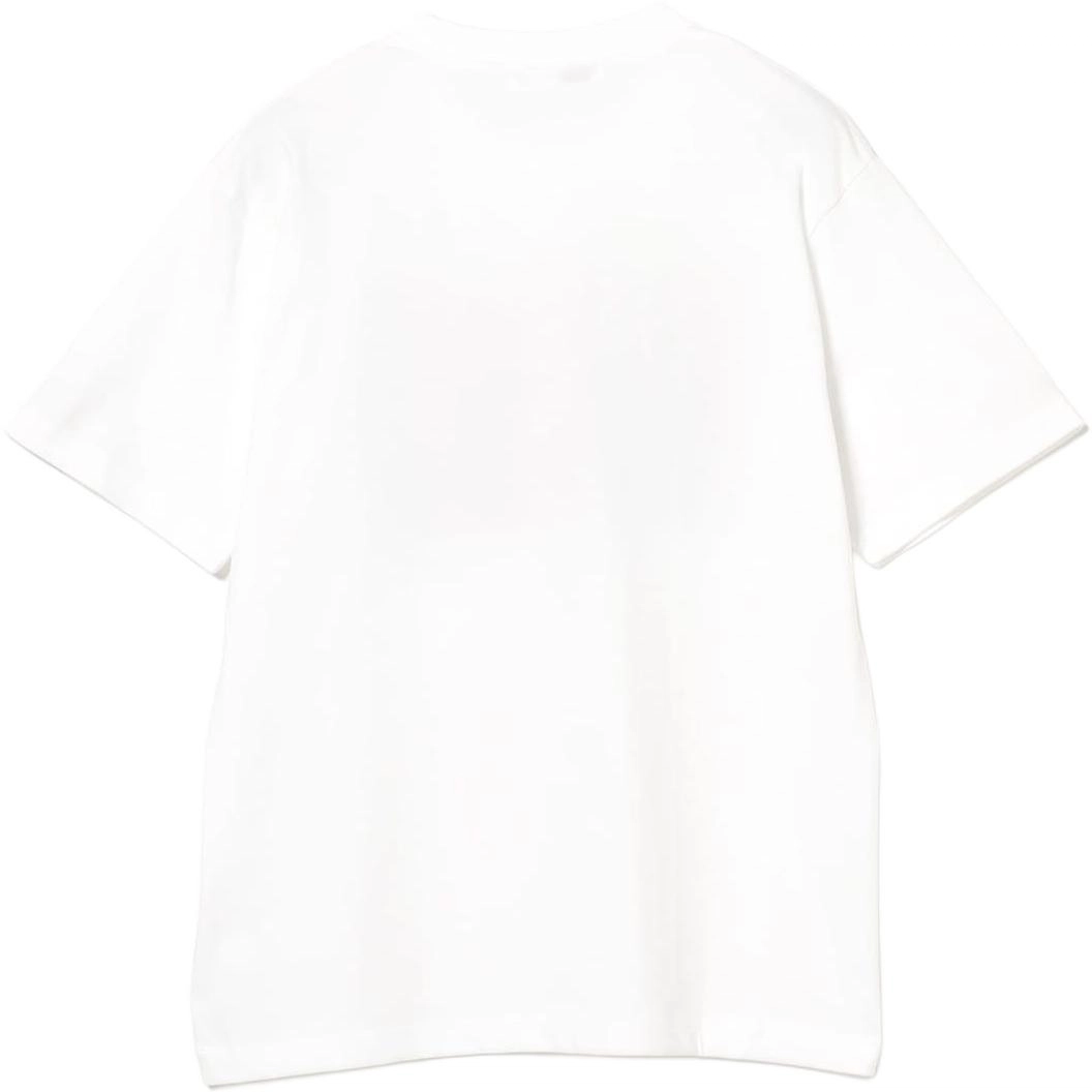 beams T