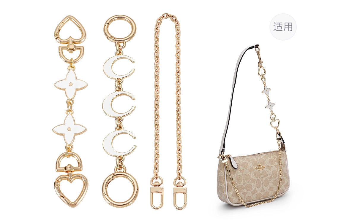COACHnolita19diy