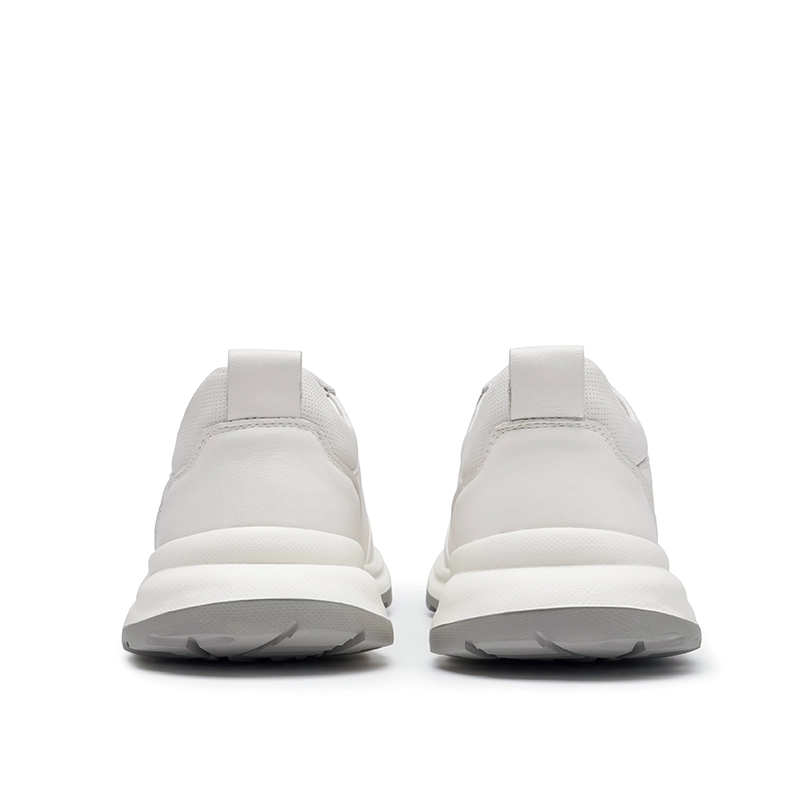 AQUASCUTUM