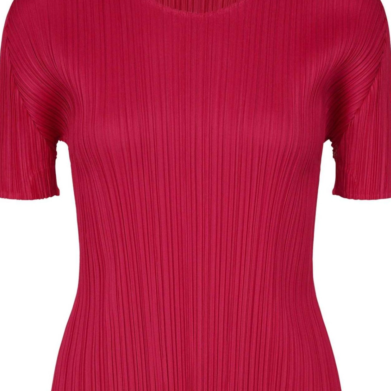 PLEATS PLEASE ISSEY MIYAKE FW24 T