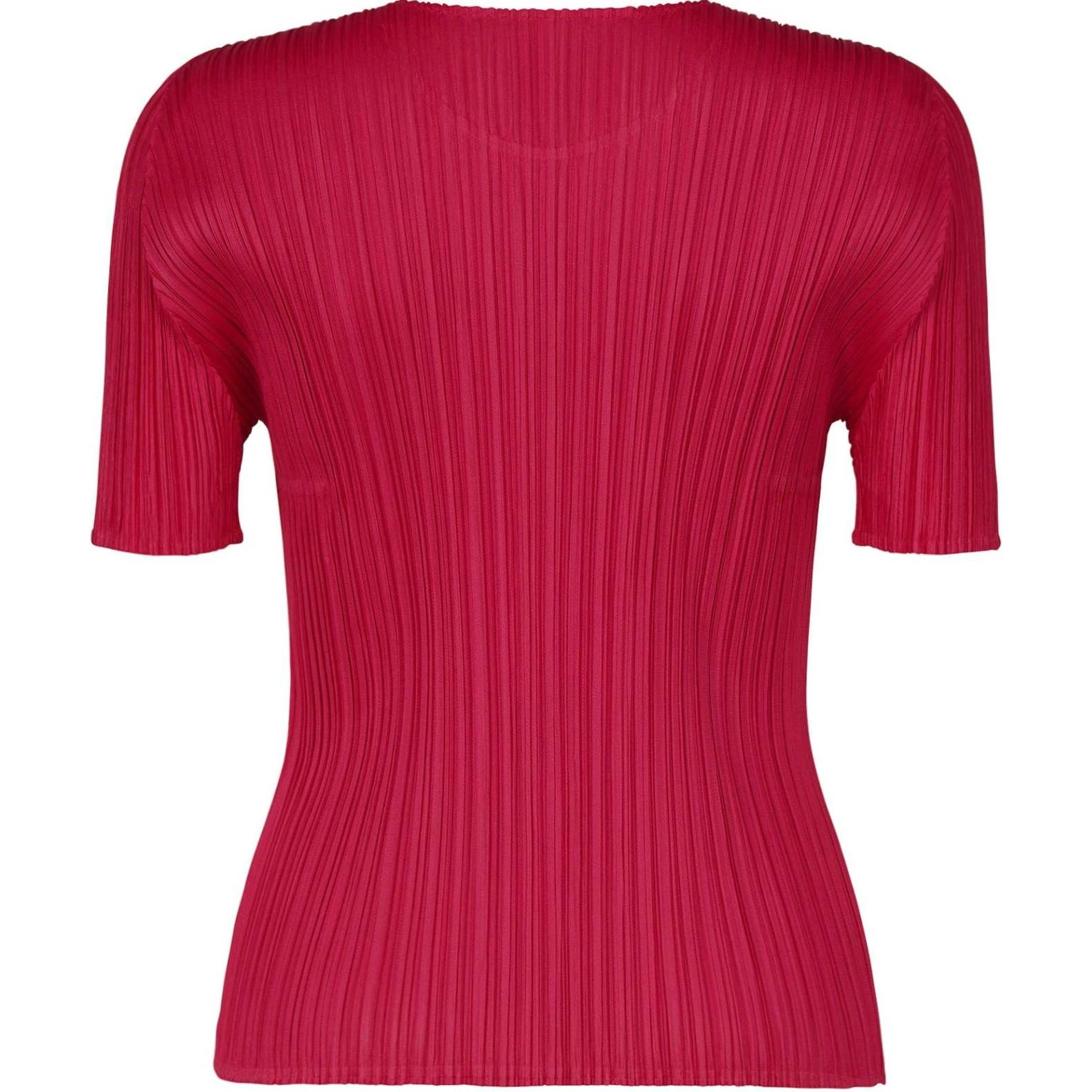PLEATS PLEASE ISSEY MIYAKE FW24 T