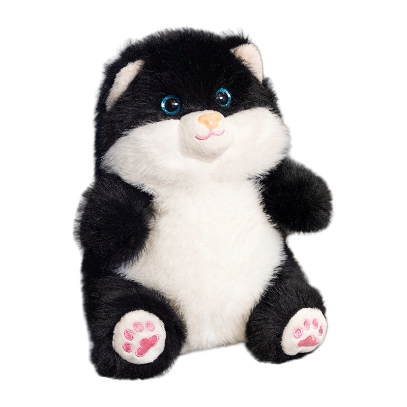 Brangdy 20cm