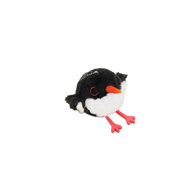 x 7cm