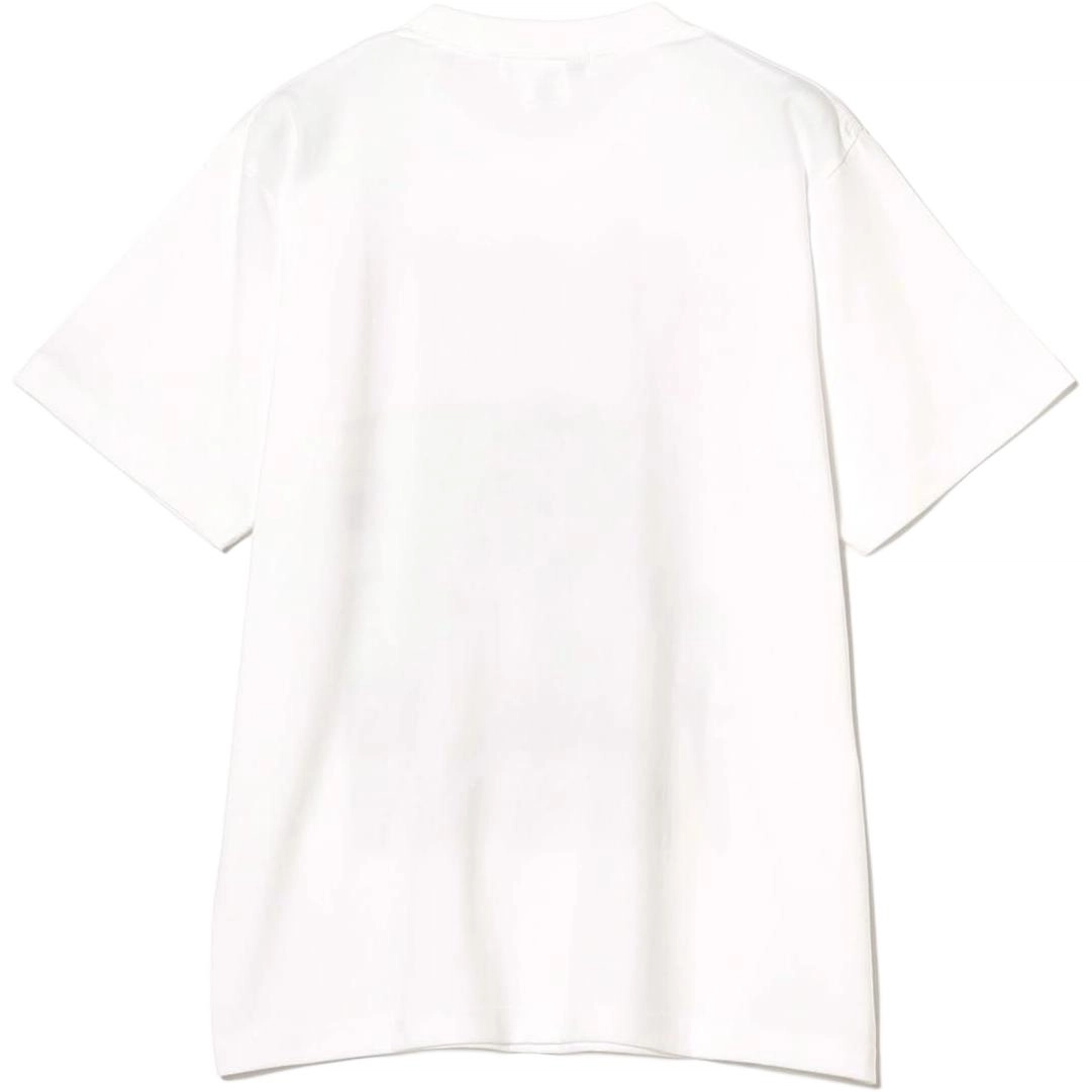 beams T