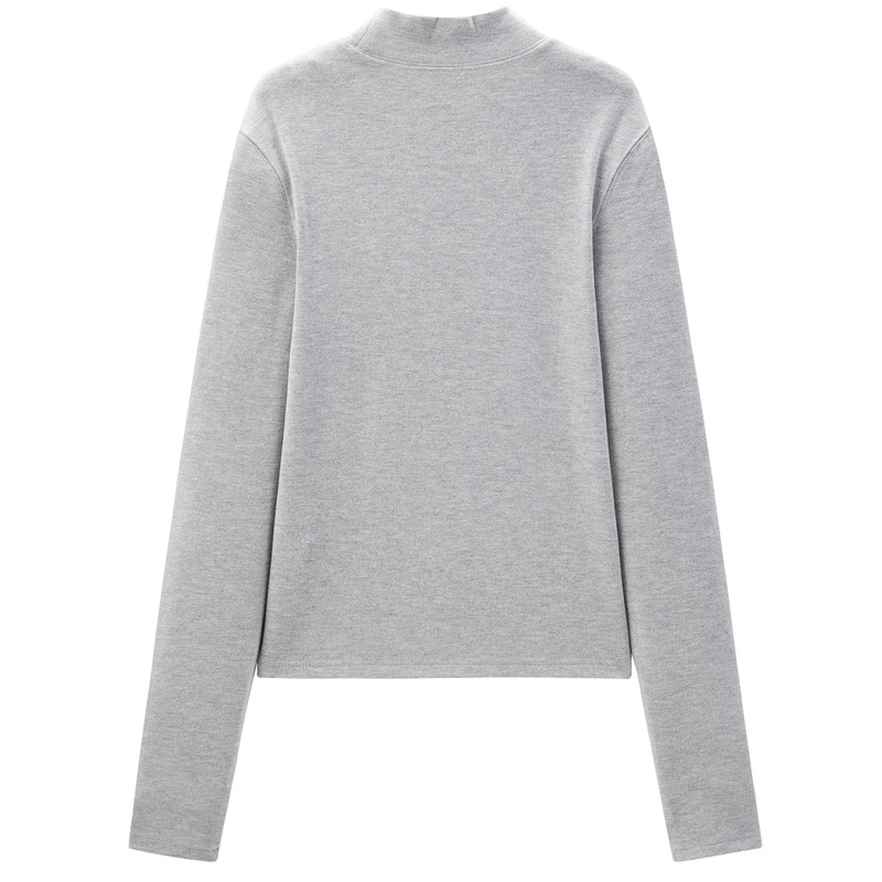 LEDIN T