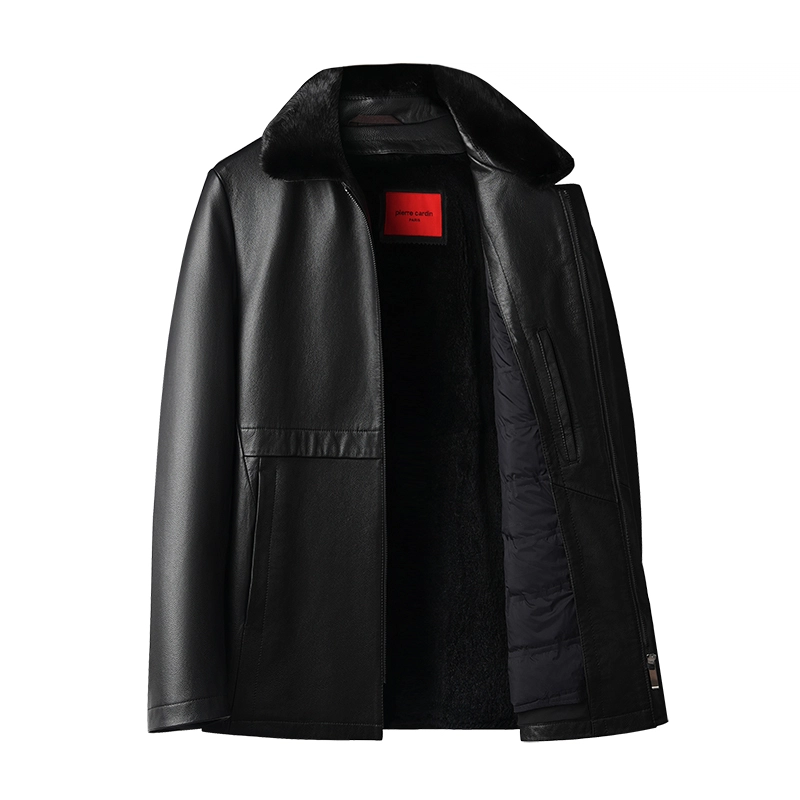PIERRE CARDIN
