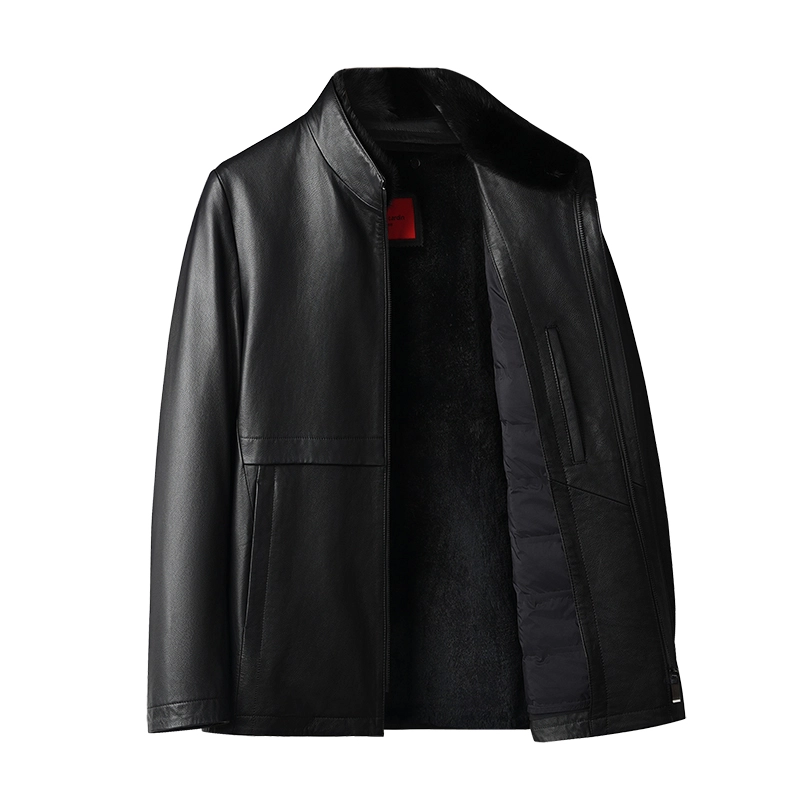 PIERRE CARDIN