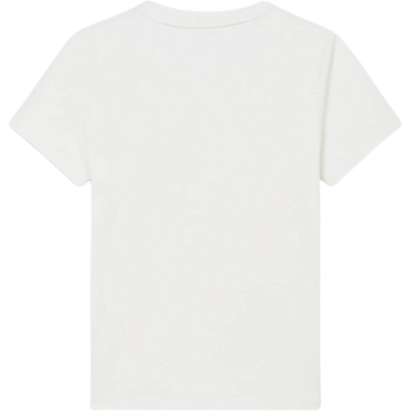 KENZO FW24 Logo T