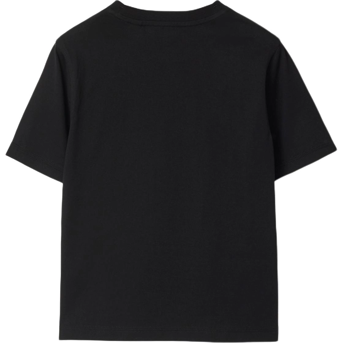 BurberryT FW24 Logo