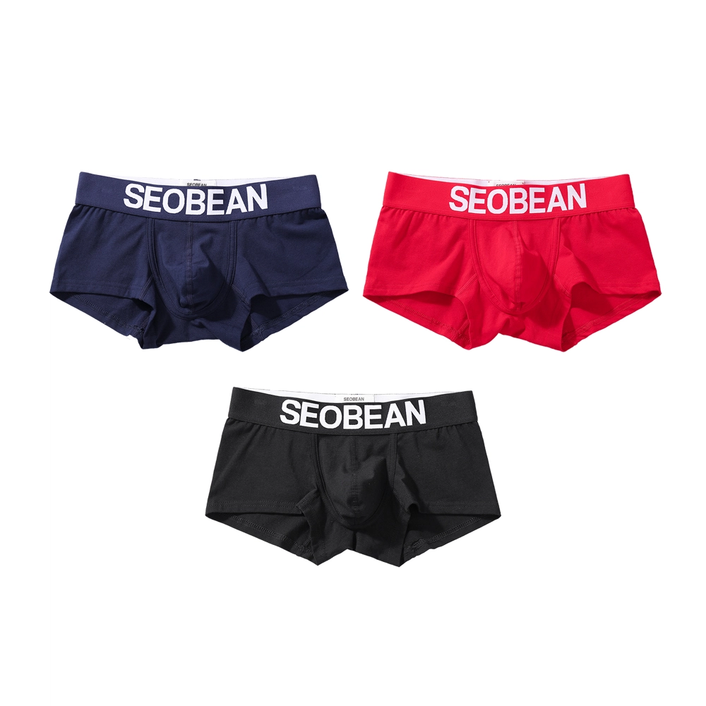 SEOBEAN 3