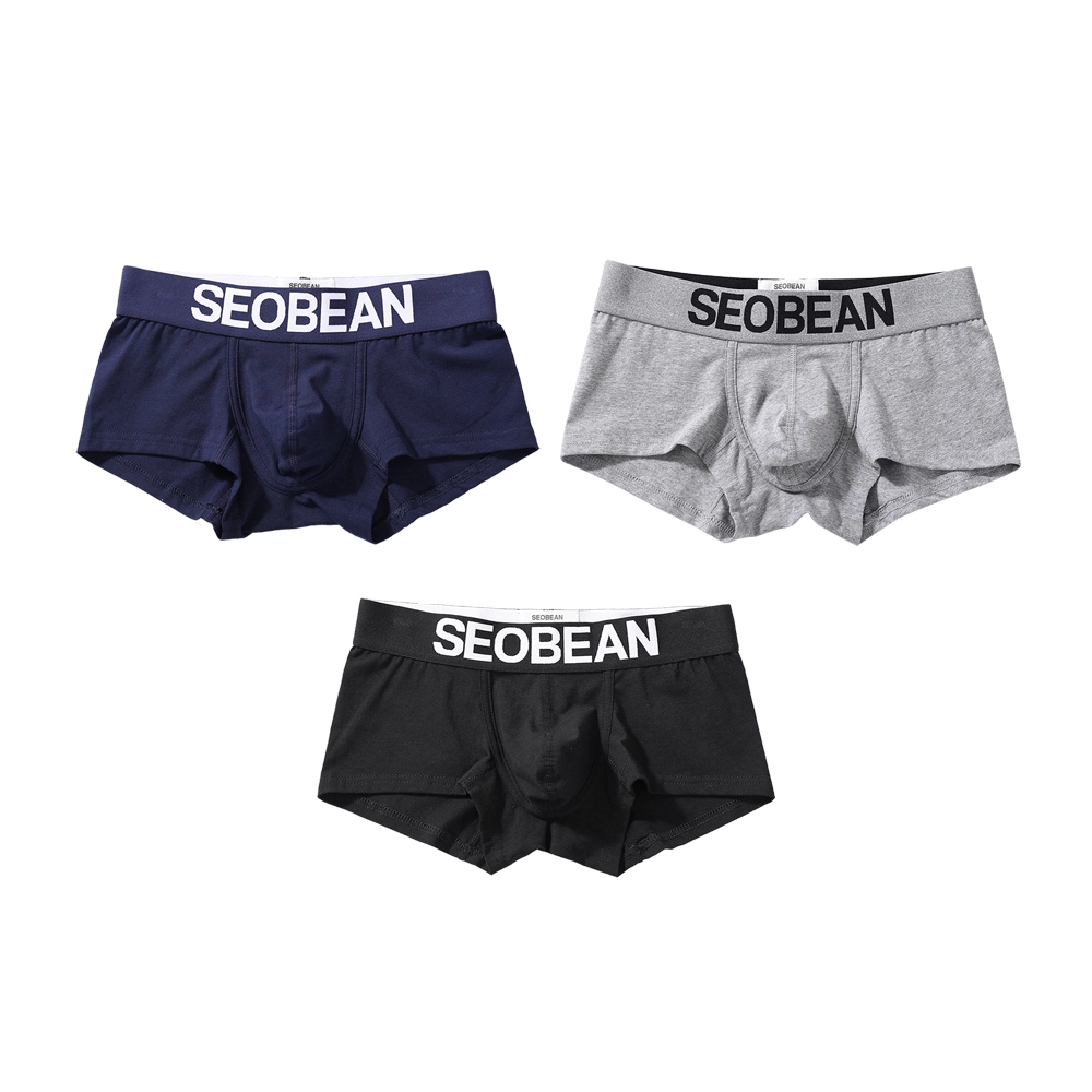 SEOBEAN 3