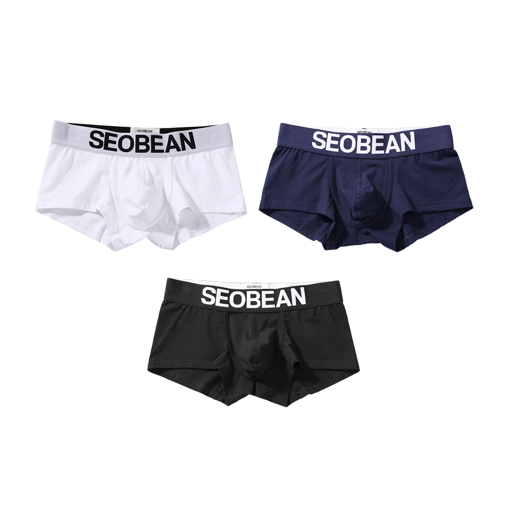 SEOBEAN 3