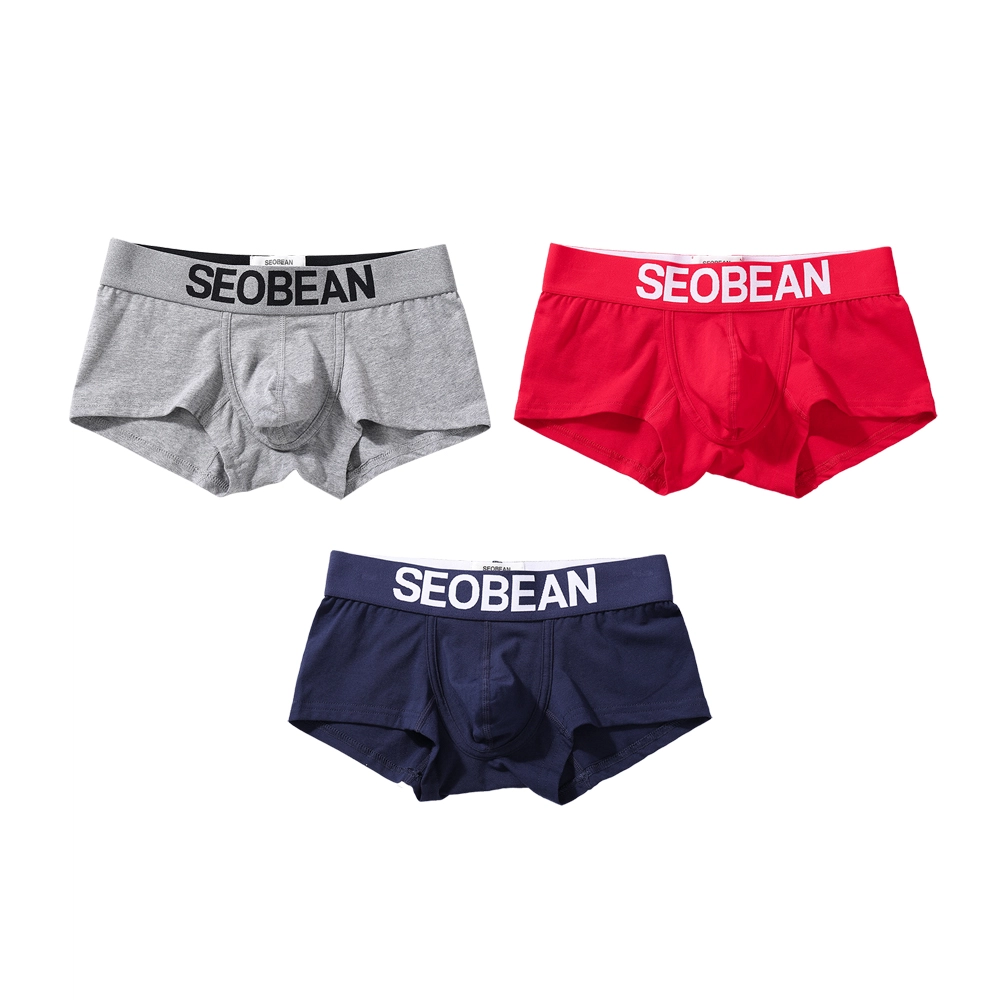 SEOBEAN 3