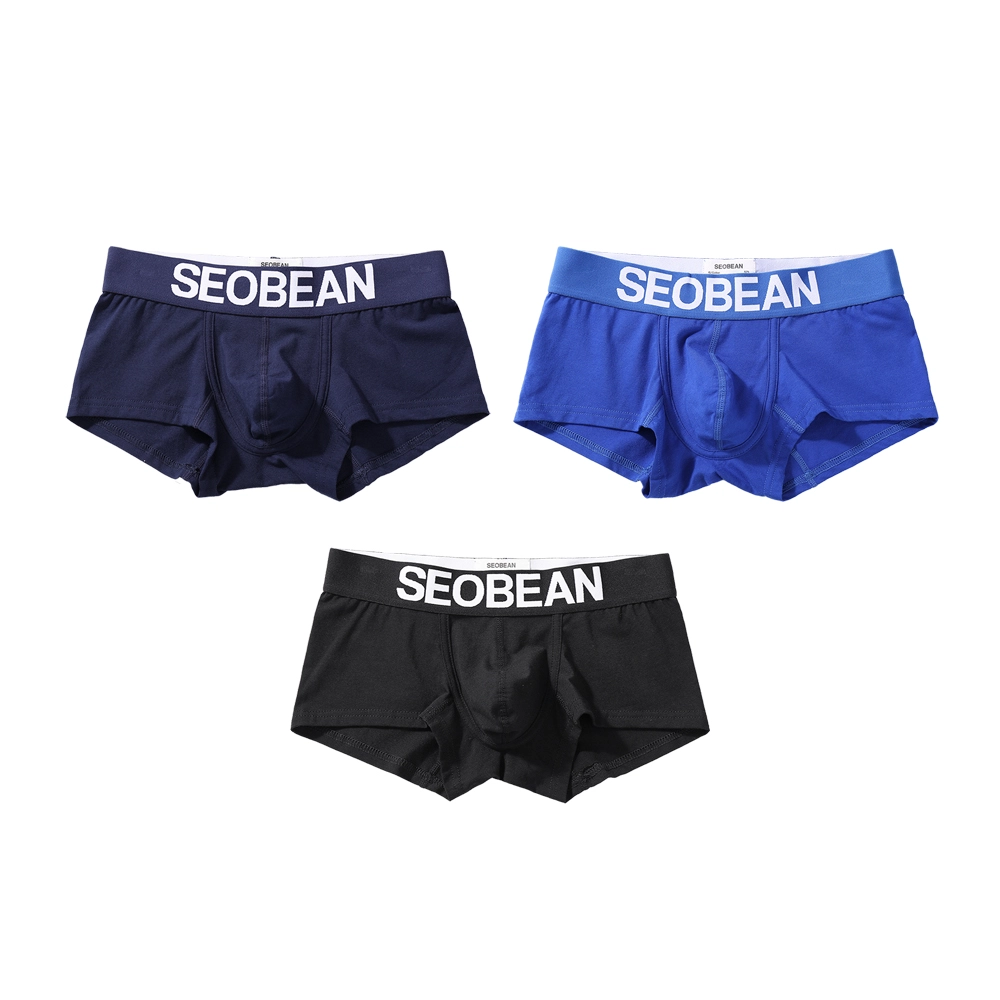 SEOBEAN 3