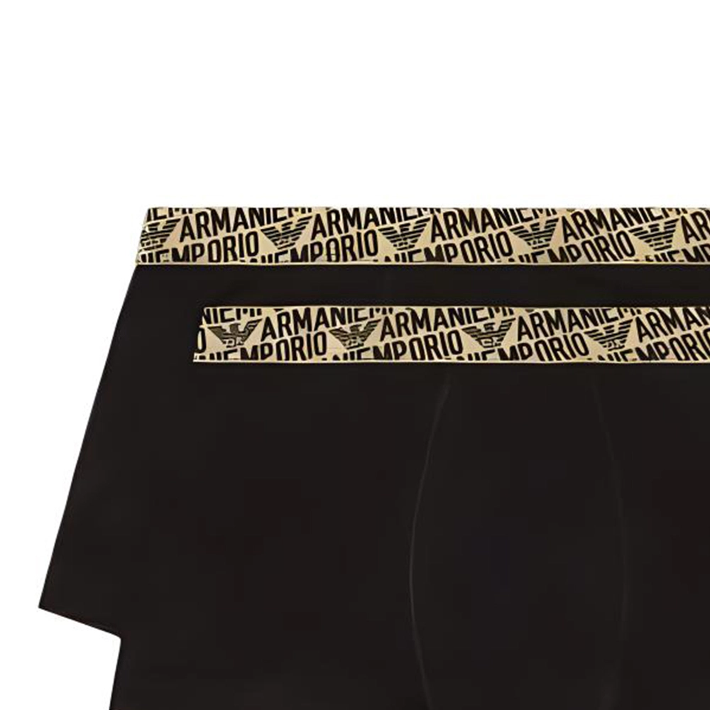 EMPORIO ARMANI FW24 Logo 2