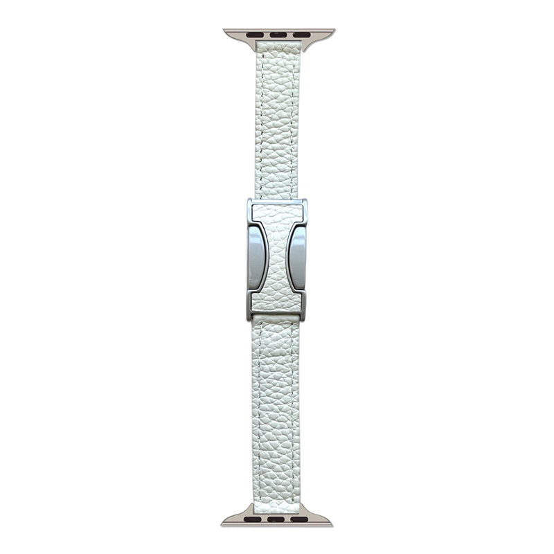 Applewatch S9S8SE76543 C