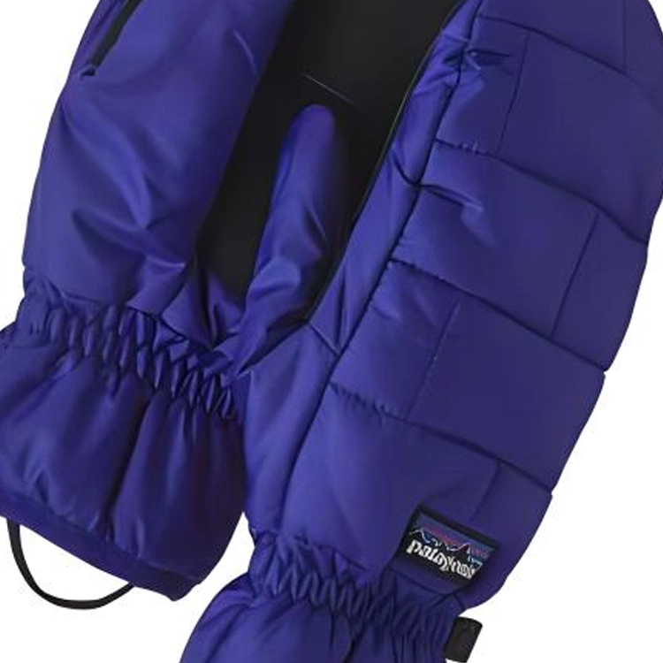 patagonia -