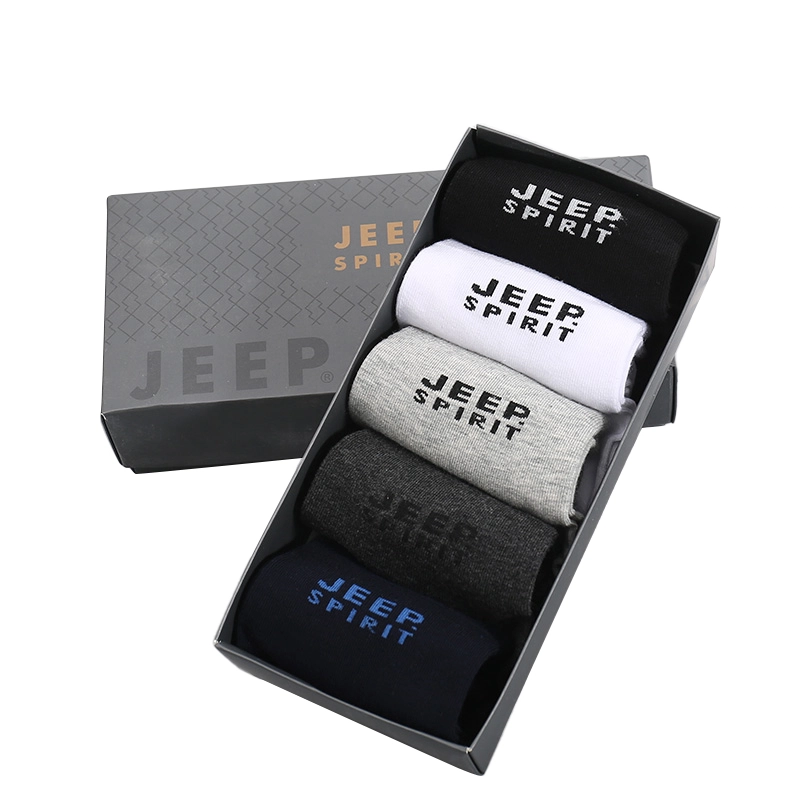 JEEP SPIRIT 5