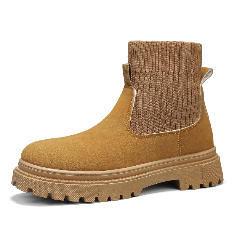 DM PU
