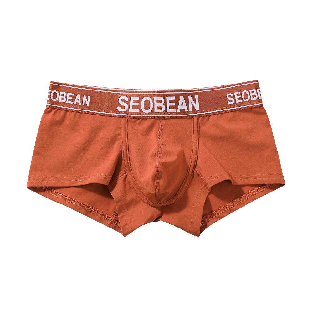 SEOBEAN 1
