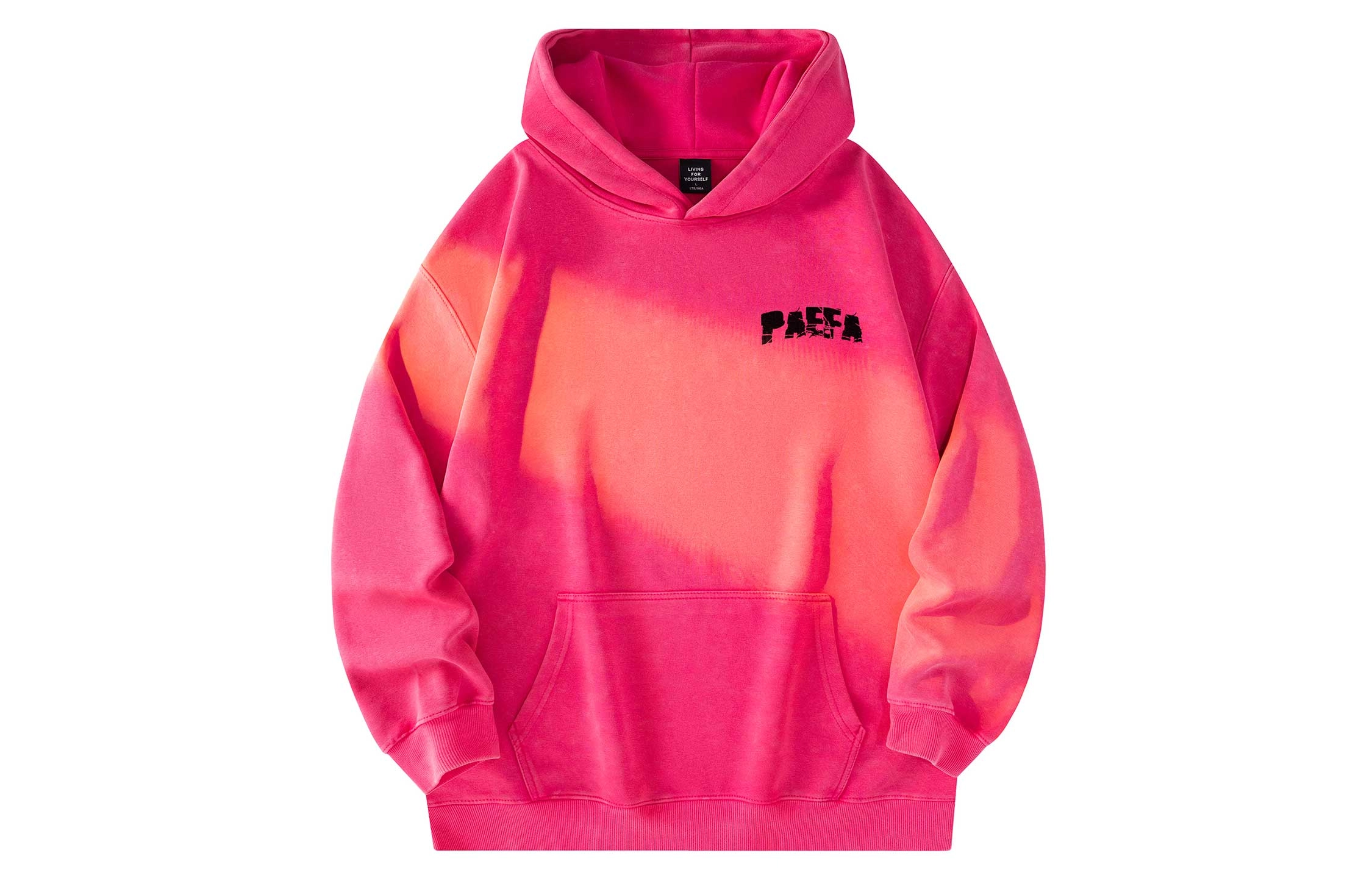 PAEFA Logo