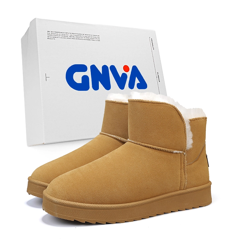 GNVA