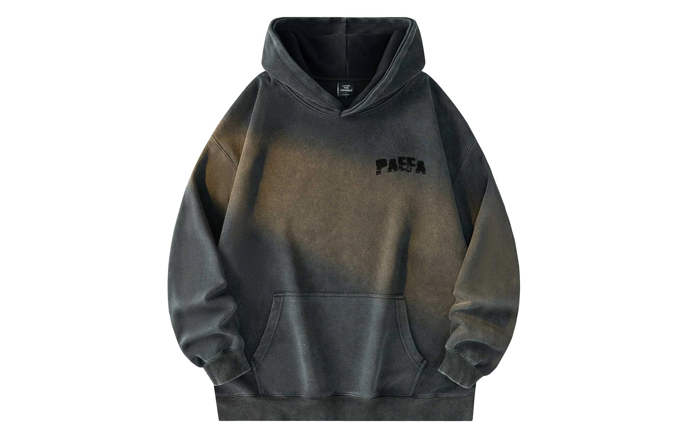 PAEFA Logo