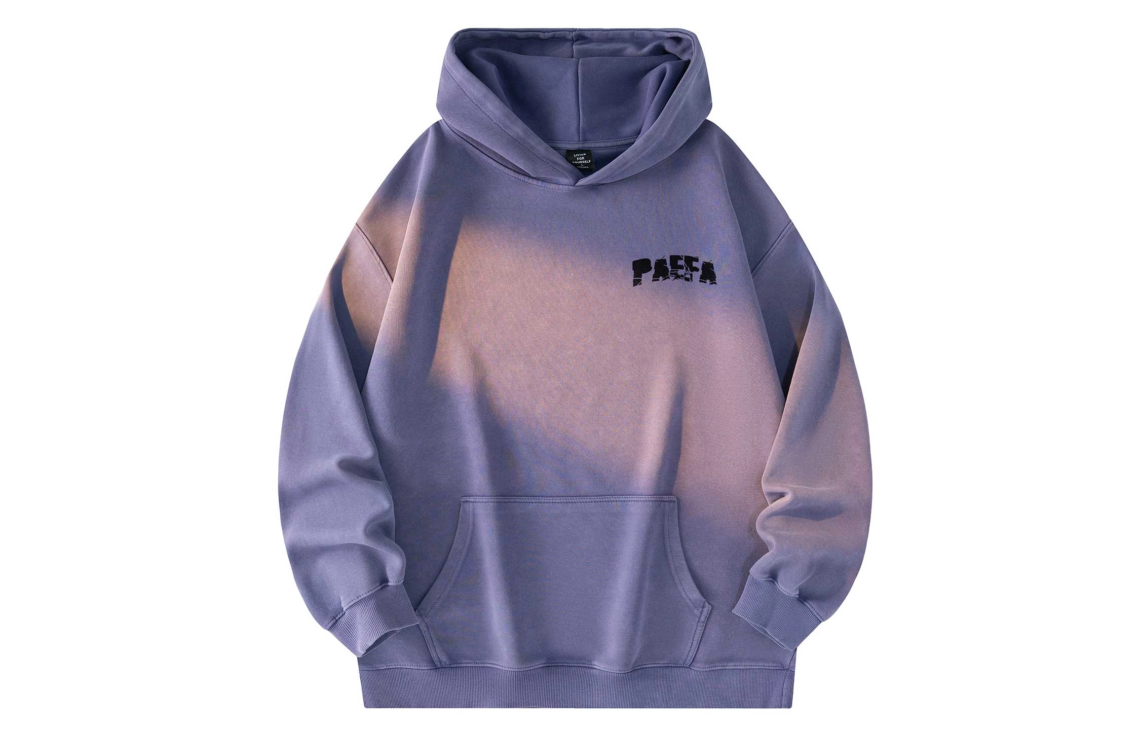 PAEFA Logo