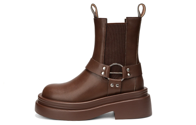 OMS 6cm