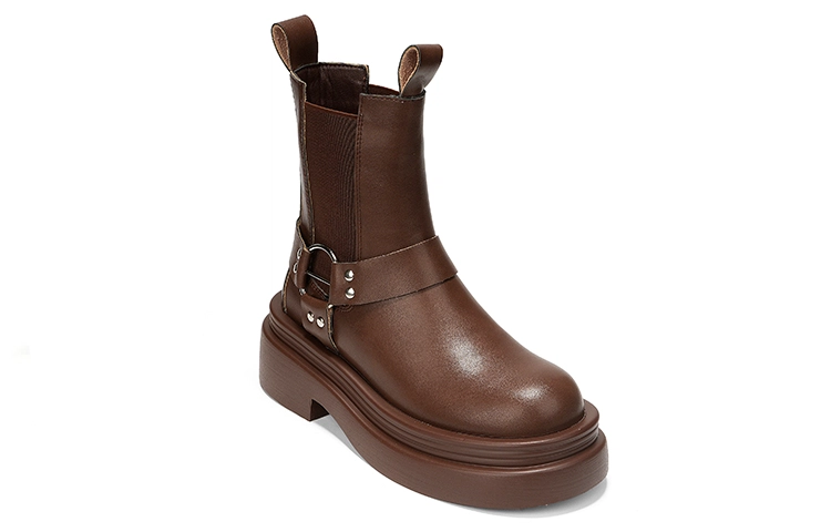 OMS 6cm