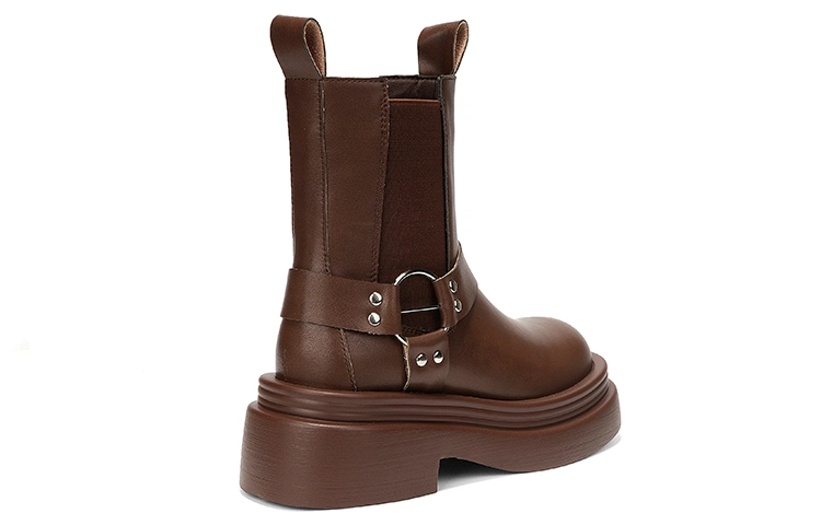 OMS 6cm