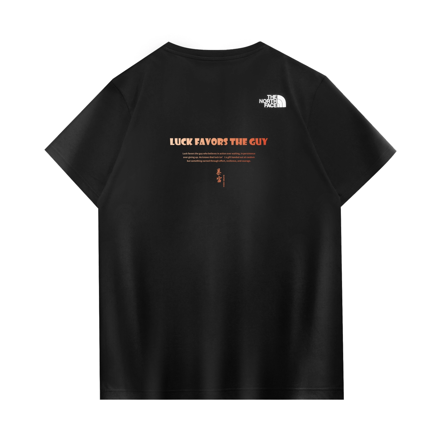 THE NORTH FACE CNYlogoT