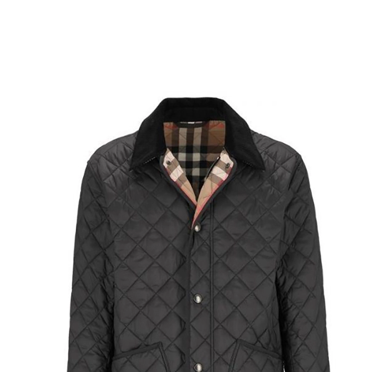 Burberry FW24