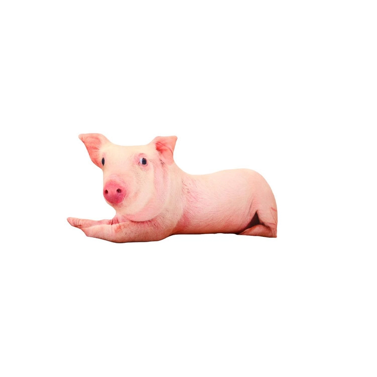 3d 25cm30cm