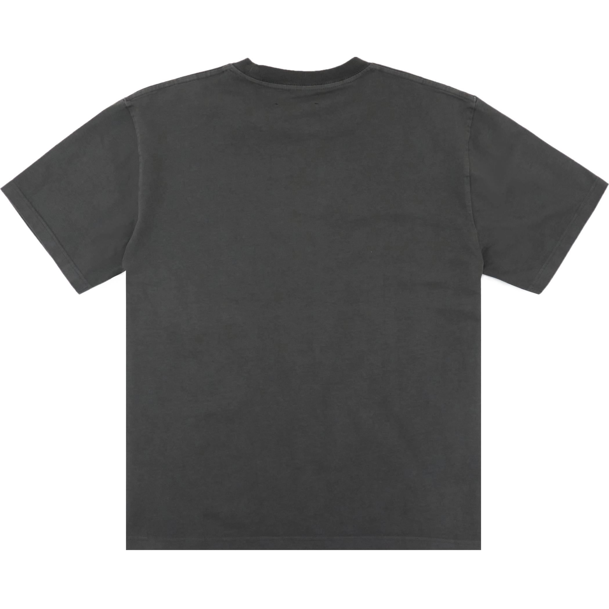 PLEASURES T