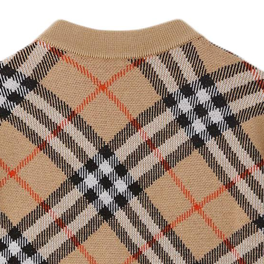BurberryFW24 V