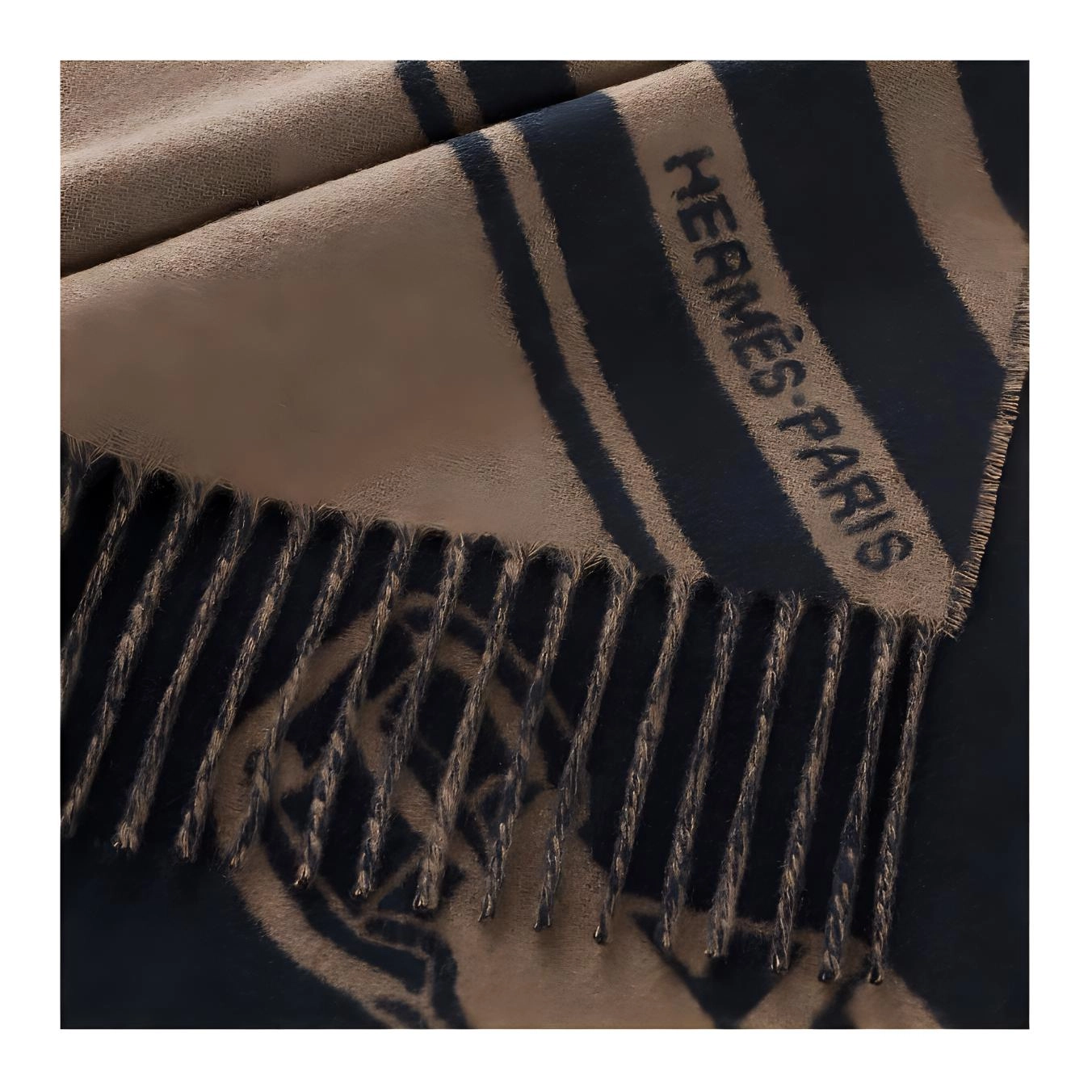 HERMES Logo
