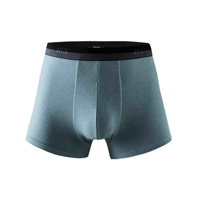 Anta 1