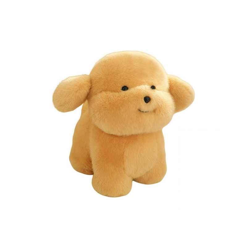 20cm30cm