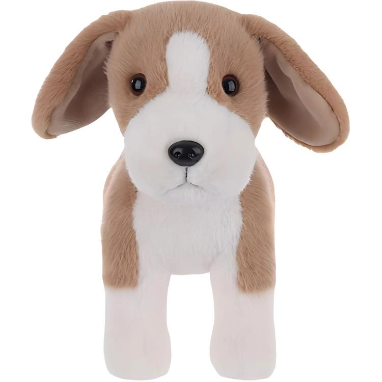 APRICOT LAMB 24cm