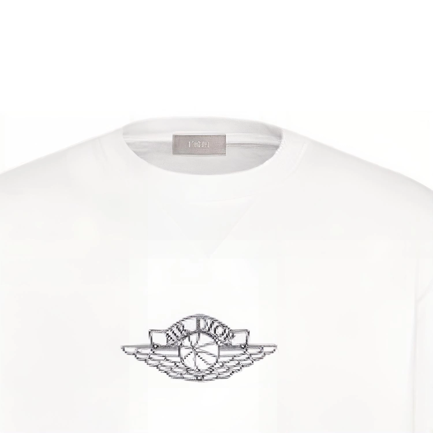 DIOR x jordan T