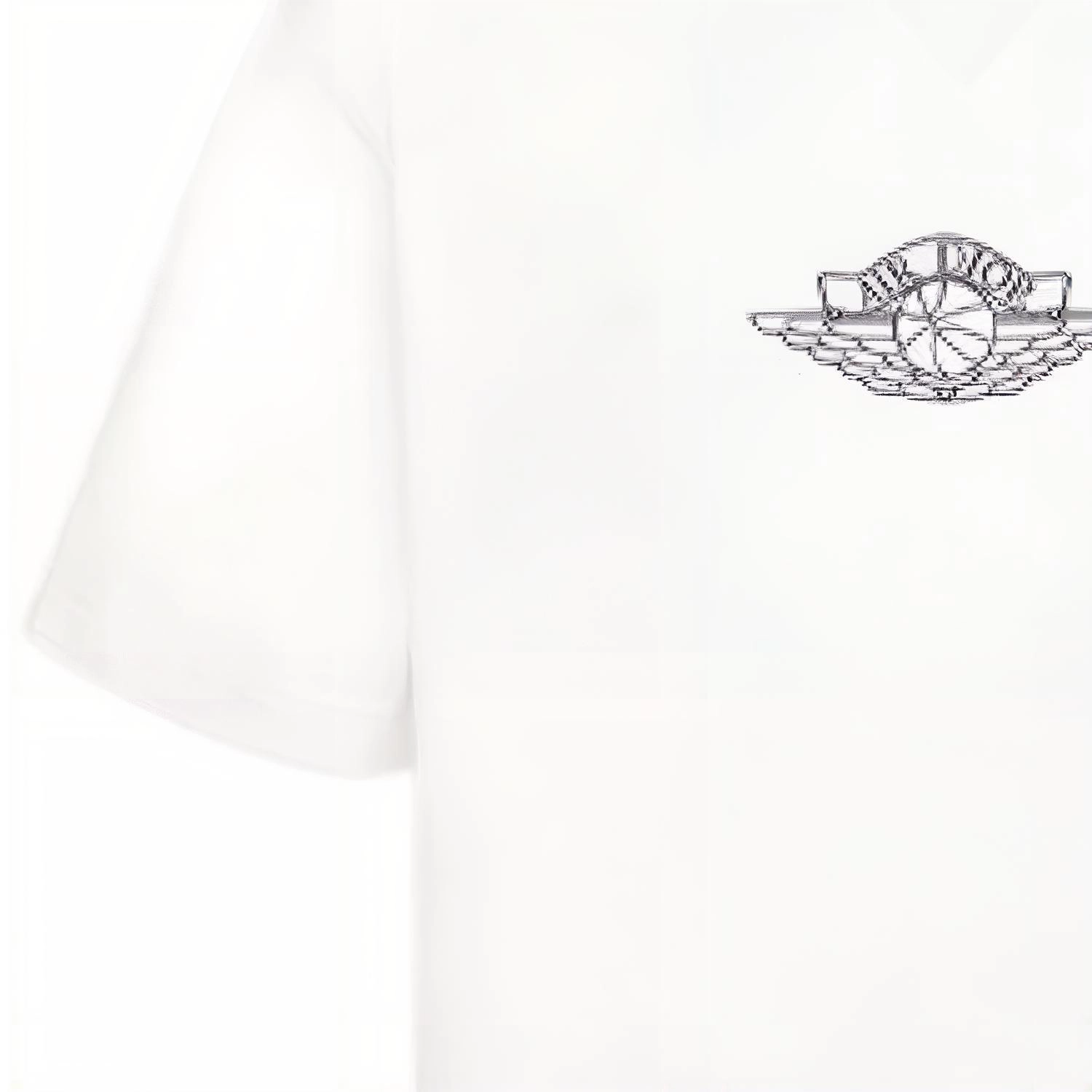 DIOR x jordan T