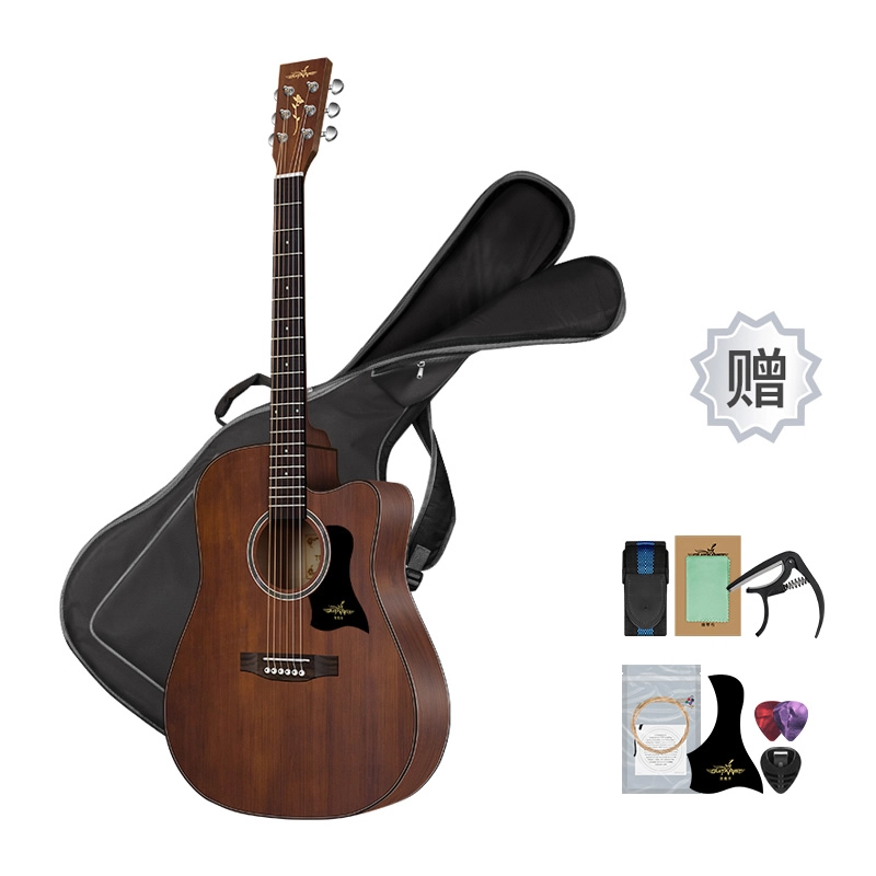 Guitarist DG41-S