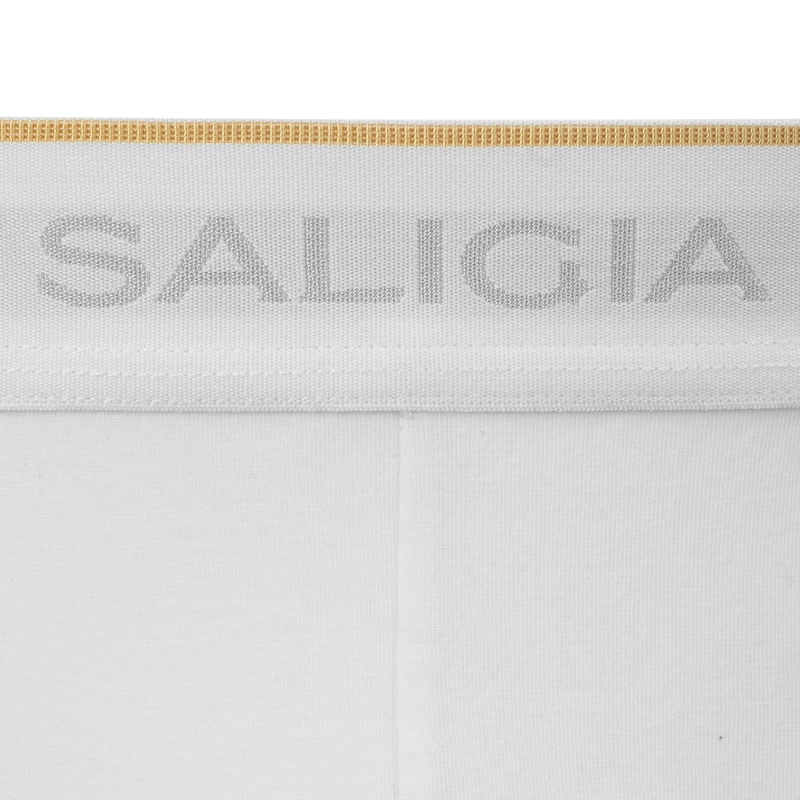 SALIGIA 3