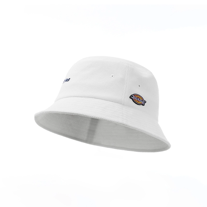 Dickies LOGO