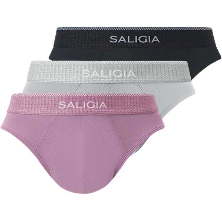 SALIGIA 3
