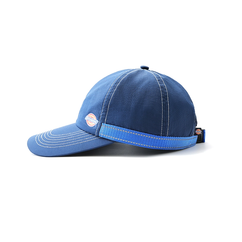 Dickies LOGO