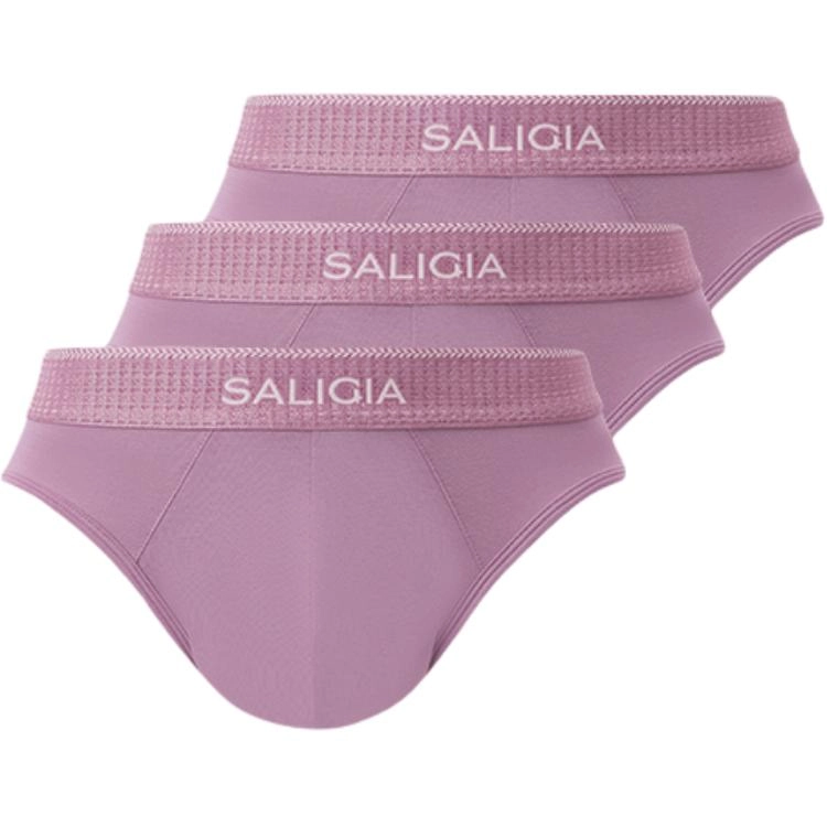 SALIGIA 3